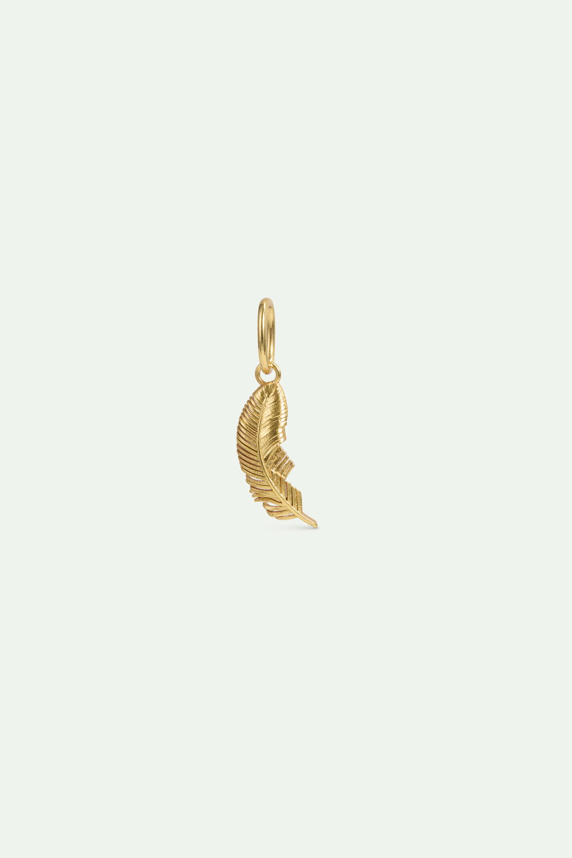 Pendentif Plume, Fantasme et Ingéniosité